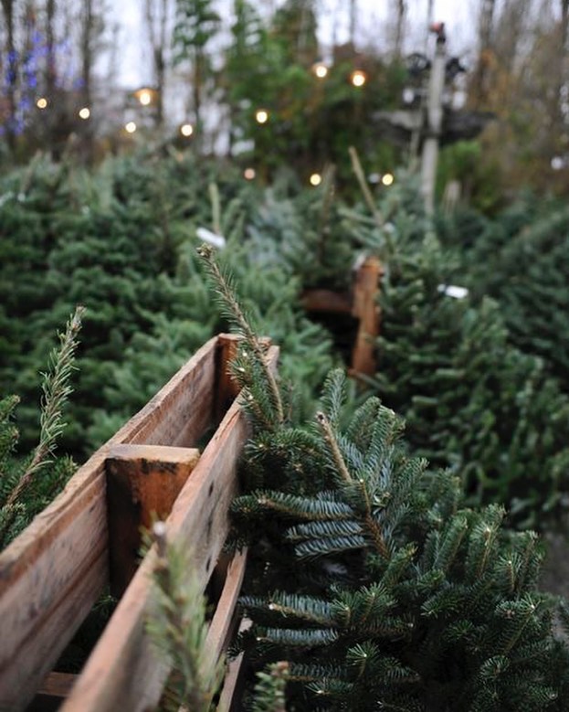 122888920_394128965120783_2811919803333975332_n