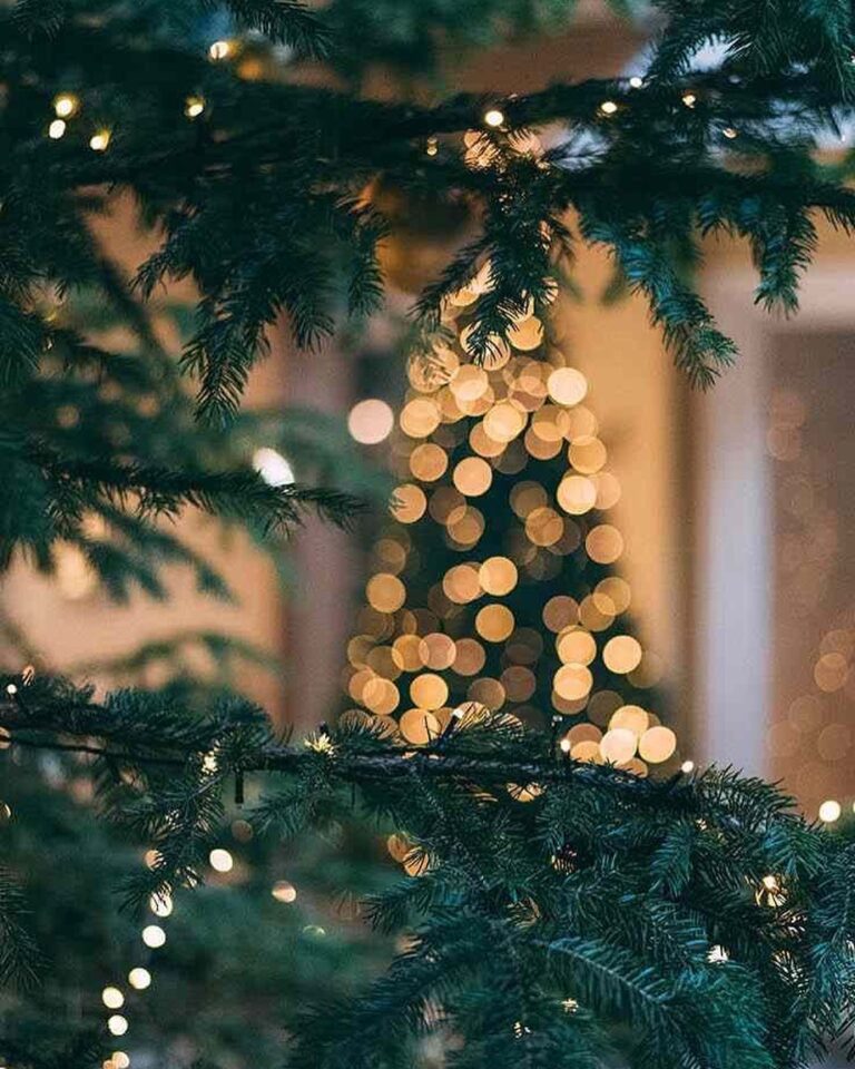 123049388_401211114379088_2044036751802746347_n