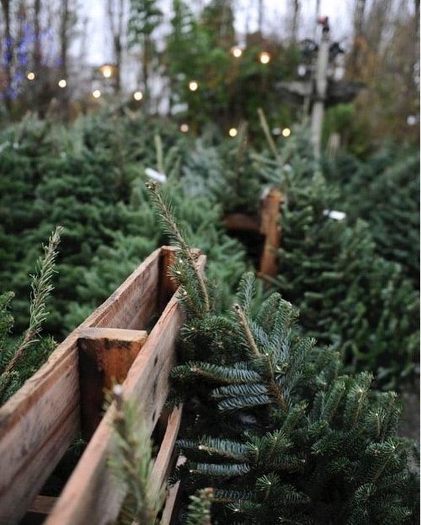 262506366_437534841156421_7456777251460363682_n