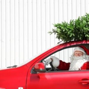 Nordmann Kerstboom- Gezaagd