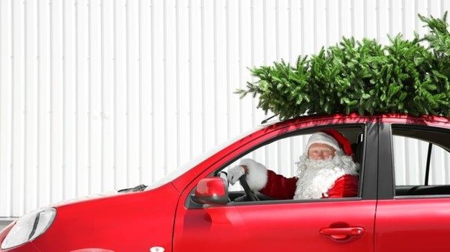 Kerstboom met kluit of gezaagd: wat past het best bij jou?