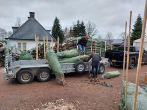 kerstboomaanhuis.com