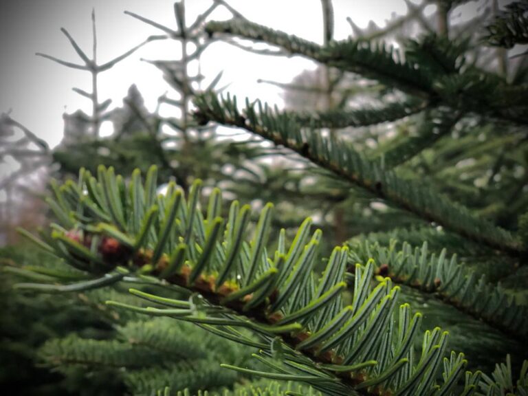 264260910_1023518278230661_1882776556800878521_n